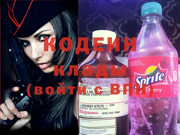 индика Волосово