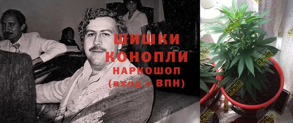 шишки Семикаракорск