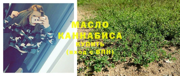 индика Волосово